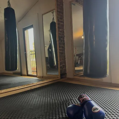 Beim Goldenen Dackel -atelierhaus Im Hof 아파트