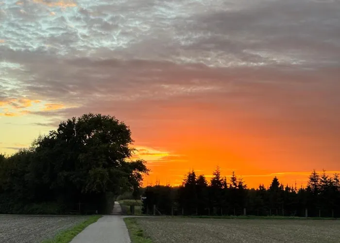 Appartement Beim Goldenen Dackel -atelierhaus Im Hof *