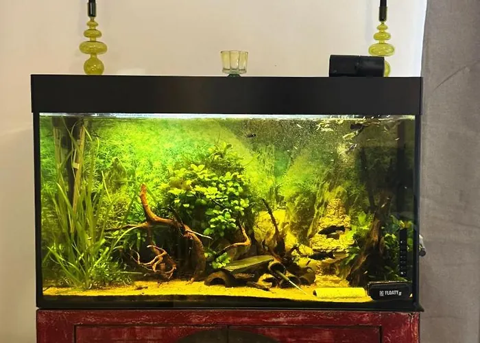 Beim Goldenen Dackel -atelierhaus Im Hof Ubach-Palenberg